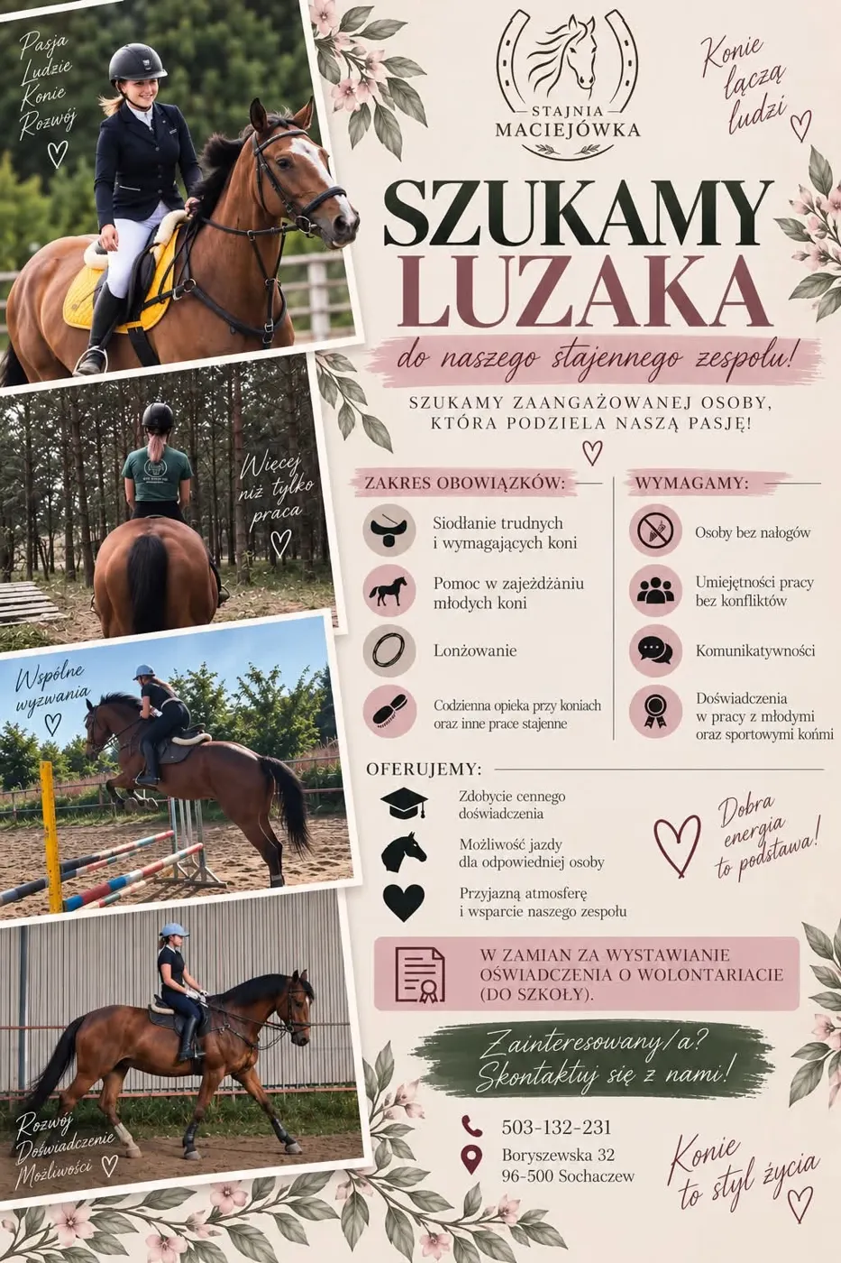 Plakat: Stajnia Maciejówka szuka luzaka